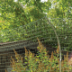 Katzenschutznetz im Set Grün Edelstahl verstärkt