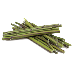 JR FARM Katzenminze-Sticks