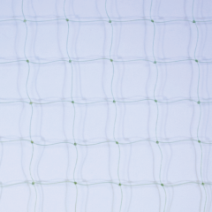 Transparentes Netz
