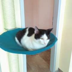 Liegefläche